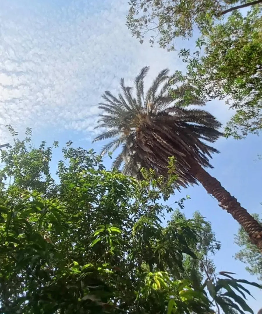 فيلا على النيل بالأقصرـ العوامية Luxor