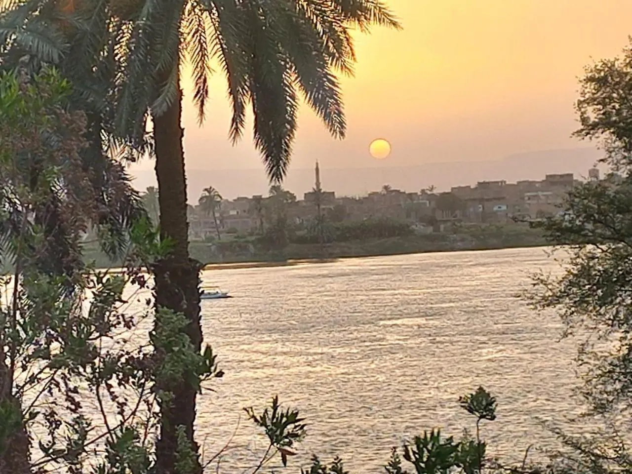 Villa فيلا على النيل بالأقصرـ العوامية