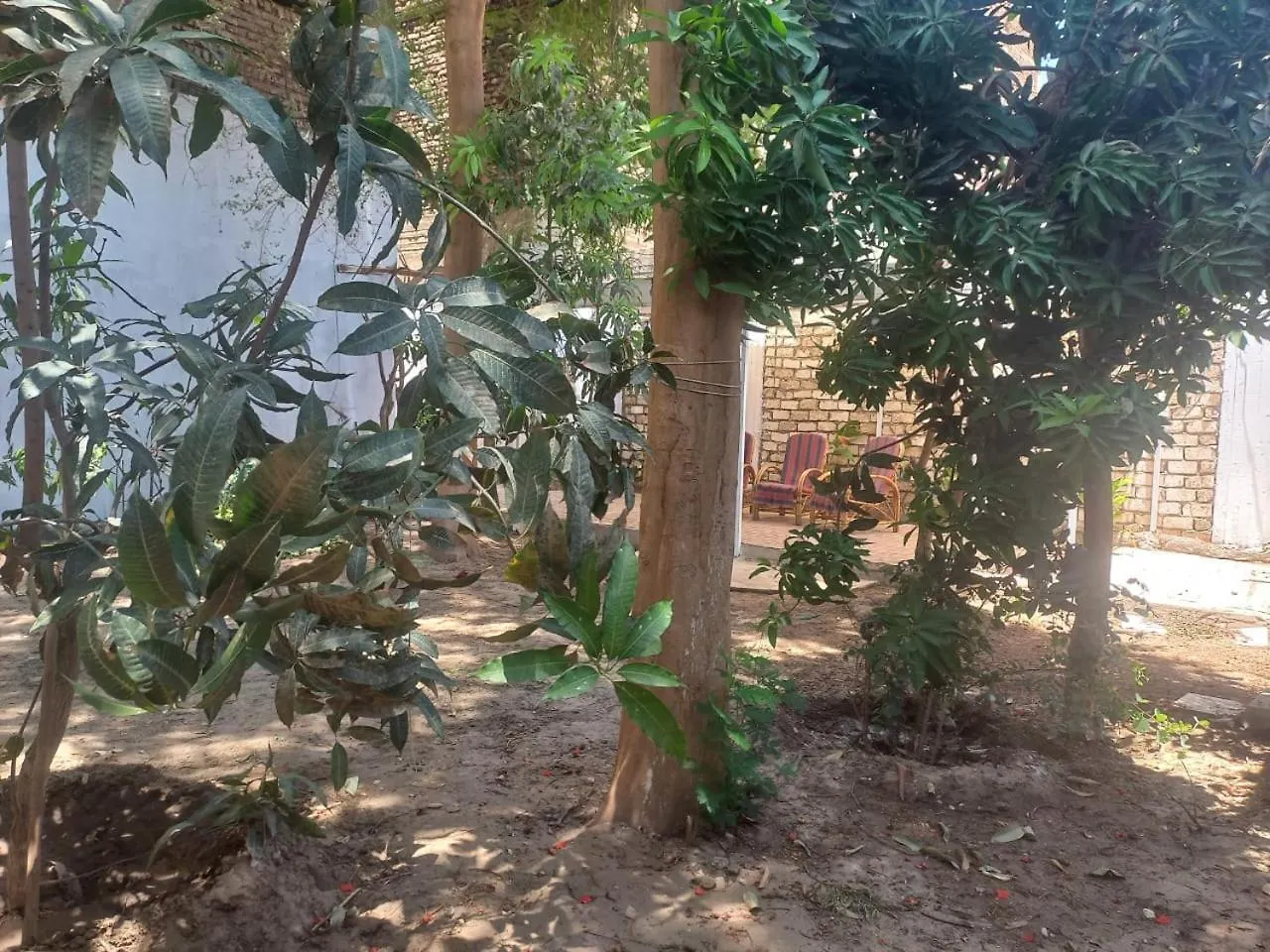 فيلا على النيل بالأقصرـ العوامية Villa